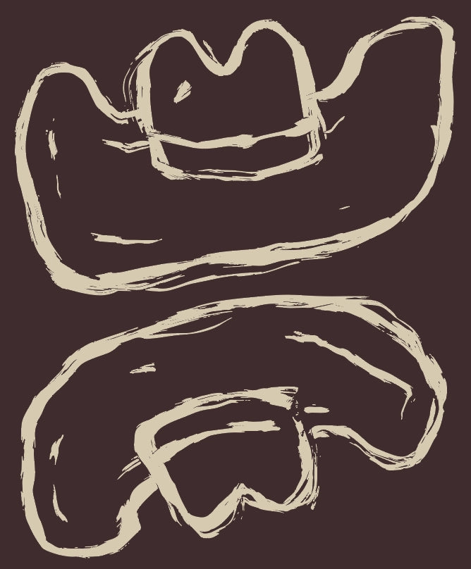 Howdy Plush Throw - Chocolate Brown